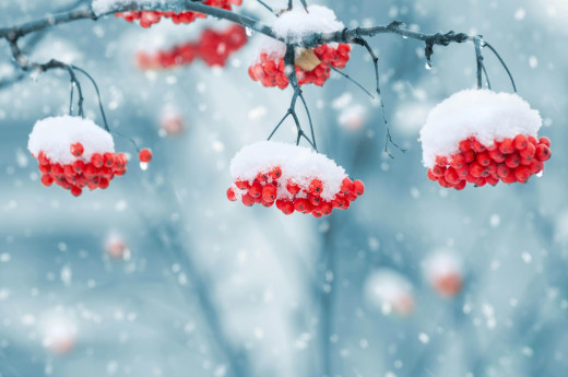 1312377 (a): :4000x2649